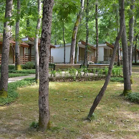 Holidays Holiday park Primorsko
